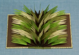 Private Bookmaking Workshop – Flag Books – Saturday, May 21, 2016