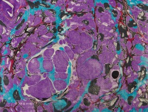 Contemporary Paper Marbling – 3 Day Workshop – Concord Art – August 2016